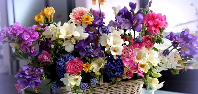 Order Flowers Online Dubai Free Delivery